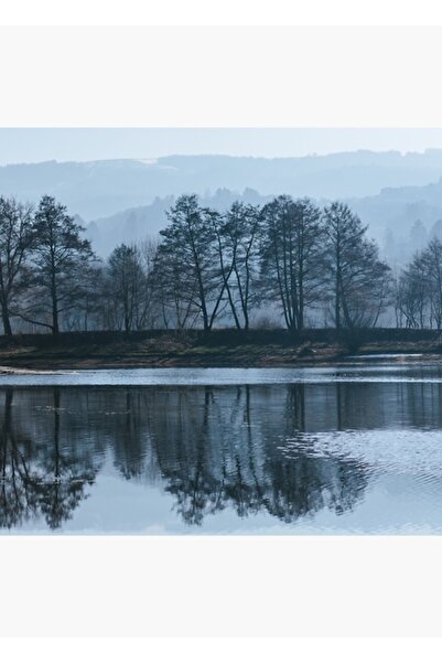 Universal Отражения на природата Картина Дървен плакат Декоративен