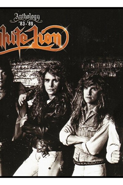 Universal Lion05 ,Danish/American Glam Metal Band Painting Wooden Poster Deco...