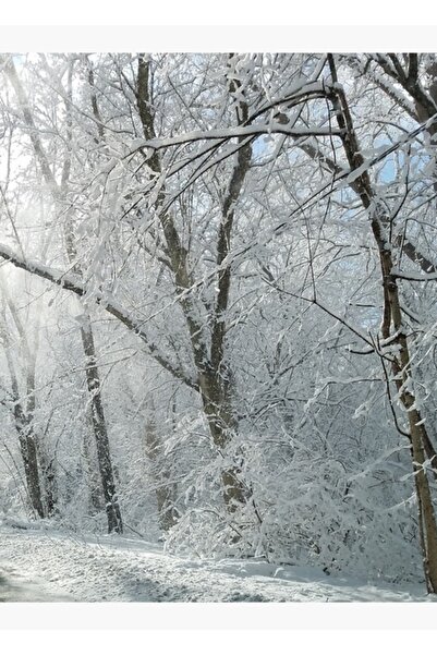 Universal Tablou cu pădure de iarnă, poster decorativ din lemn