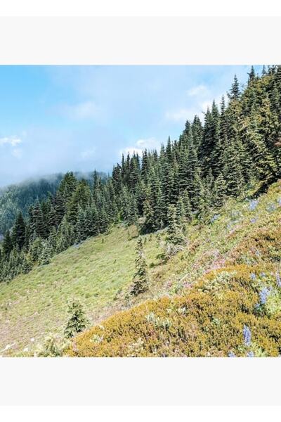 Universal Tolmie Zirvesi 2 Tablo Poster din lemn decorativ