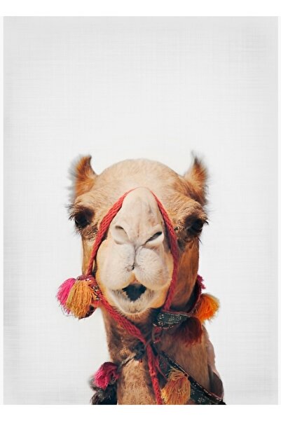 Universal Декоративен дървен плакат със сцена с камили