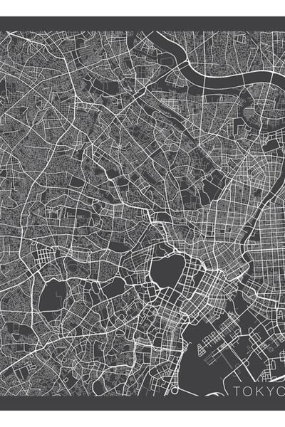 Universal Χάρτης του Τόκιο, Ιαπωνία - Διακοσμητική αφίσα από γκρι ξύλο επιτρα...