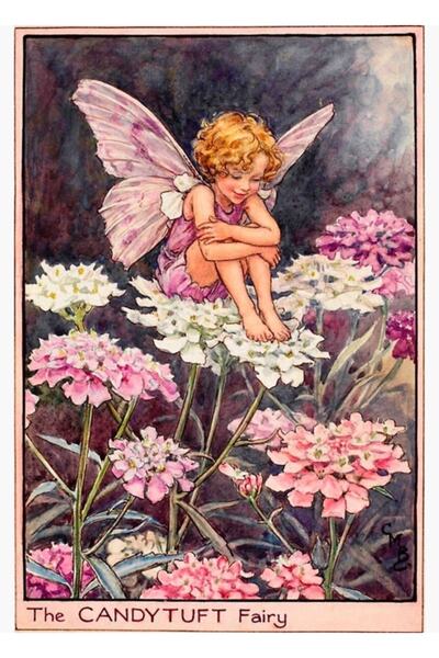 Universal Η "Νεράιδα του κάντιτουφτ " (1922) της Cicely Mary Barker, Ξύλινη δ...