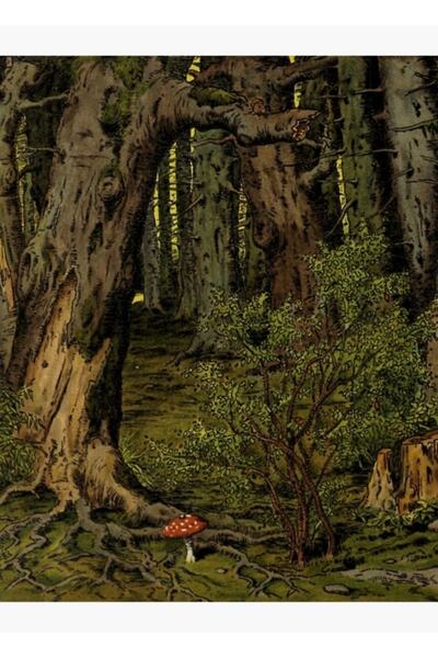 Universal Μαγεμένα Δάση Ξύλινη Διακοσμητική Αφίσα Τέχνης