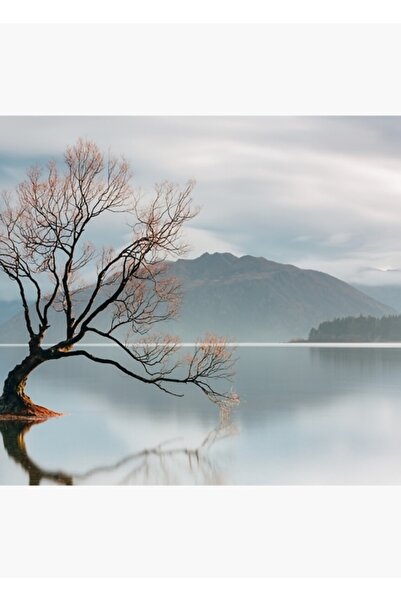 Universal Διακοσμητική ξύλινη αφίσα με ζωγραφική Νέας Ζηλανδίας, με το δέντρο...