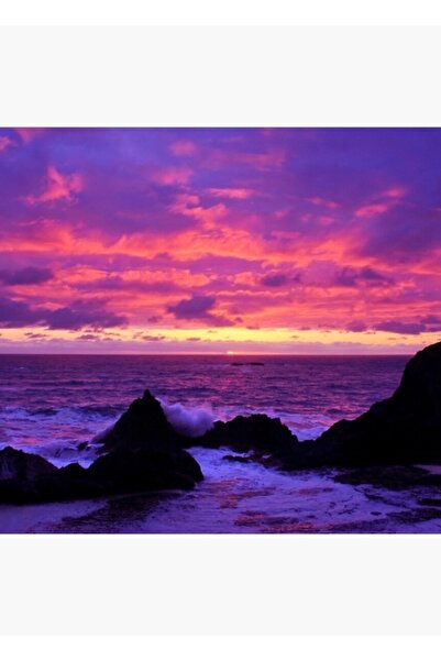 Universal Poster decorativ din lemn cu apus de soare roz pe coasta Oregonului