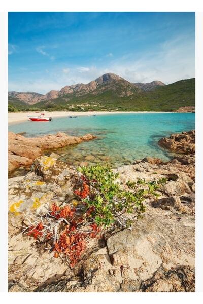 Universal Plage D'arone Tablo Poster din lemn decorativ