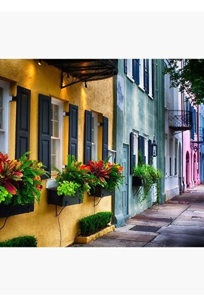 Universal Διακοσμητική Ξύλινη Αφίσα Πίνακας Rainbow Row II