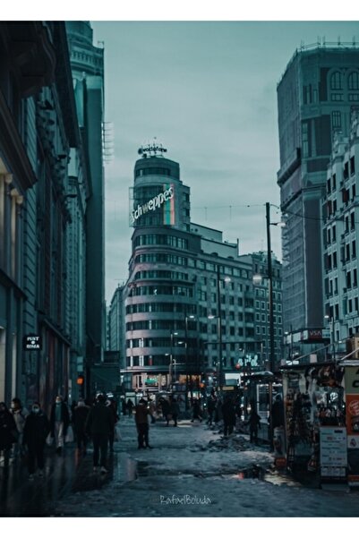 Universal Poster decorativ din lemn Schweppes