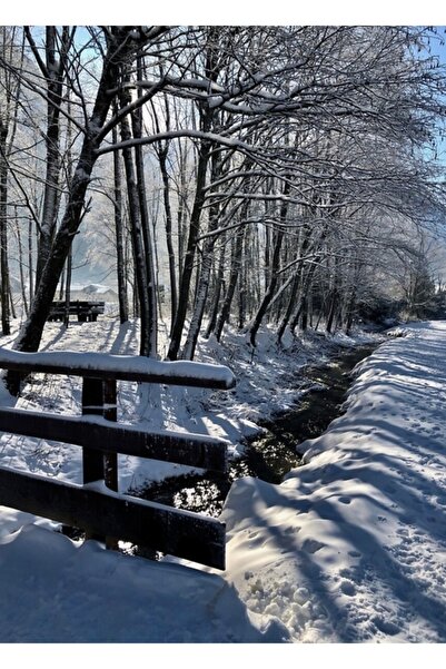 Universal Poster decorativ din lemn cu tablou cu ninsoare proaspătă
