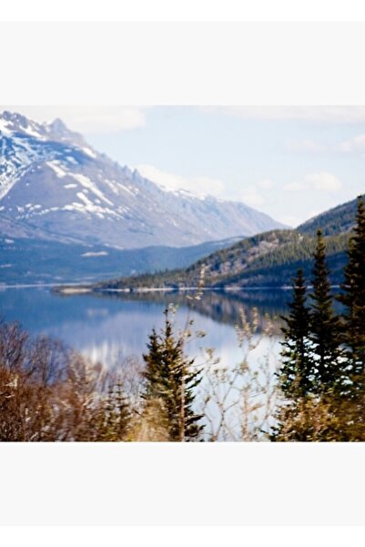 Universal Poster decorativ din lemn cu tablou Alaska