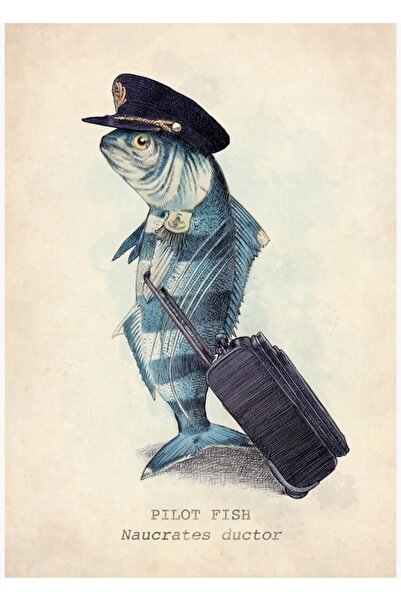 Universal Poster decorativ din lemn Pilot Tablo