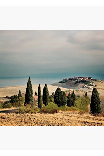 Universal Διακοσμητική Ξύλινη Αφίσα Ζωγραφικής Τοσκάνης