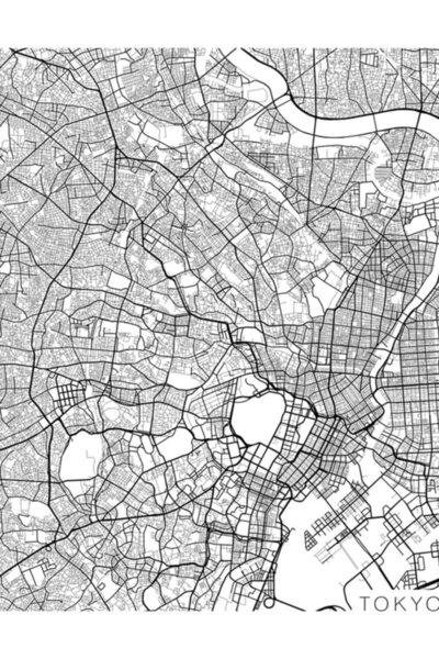 Universal Harta Tokyo, Japonia - Poster decorativ din lemn, alb-negru