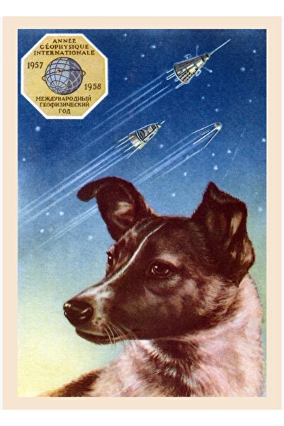 Universal 1958 Λάικα, ο πρώτος σκύλος στο διάστημα, Ξύλινη διακοσμητική αφίσα...