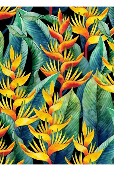 Universal Ακουαρέλα Heliconia Ξύλινη Ξύλινη Αφίσα Διακοσμητική