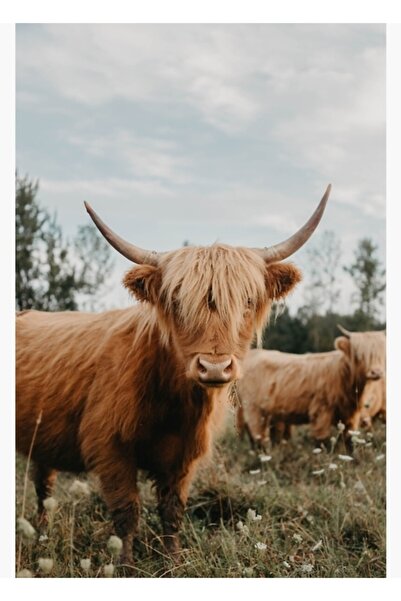 Universal Люоприятна крава № 2 Декоративен дървен плакат-картина