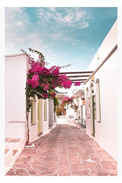 Universal Νησί Σιφνός, Ελλάδα, Πίνακας του δρόμου Μπεγκονβίλ, Ξύλινη διακοσμη...