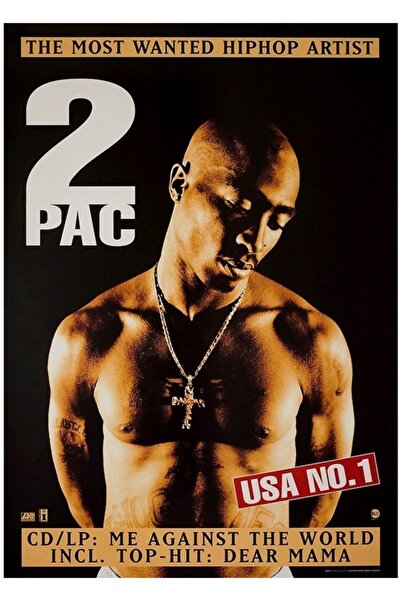 Universal Poster decorativ din lemn „Eu împotriva Lumei”