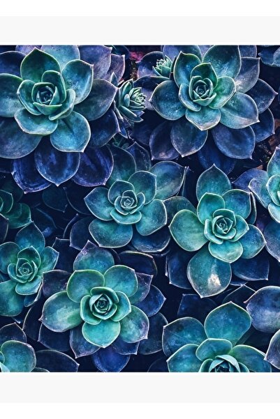 Universal Poster decorativ din lemn cu fructe suculente