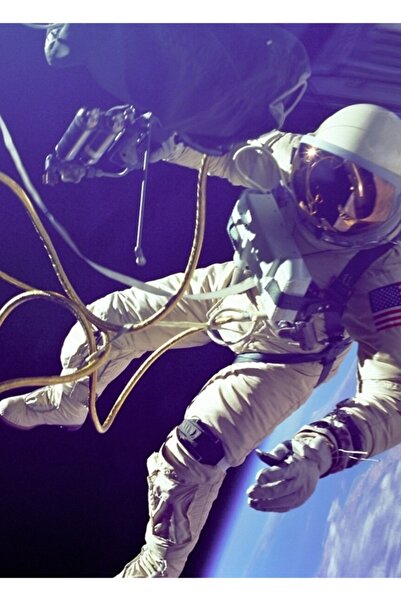 Universal Ed Beyaz Πρώτη Αμερικανική Διαστημική Πεζοπορία, Ξύλινη Διακοσμητικ...