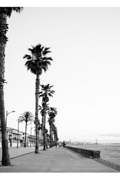 Universal Μαύρο και άσπρο φωτογράφιο της Valencia Playa Boulevard και της παρ...