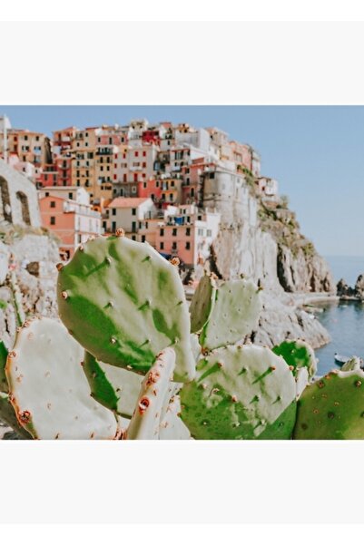 Universal Διακοσμητική Ξύλινη Αφίσα Ζωγραφικής Μαναρόλα