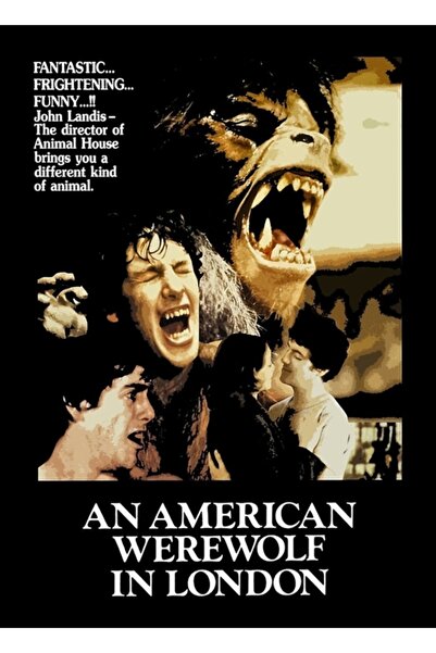 Universal Američki vukodlak u Londonu 1981. Slikanje drvenog plakata, dekorat...