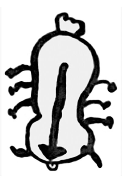 Universal Avatar: Son Hava Bükücü / Sokka'nın Çizimi / Appa Tablo Ahşap Poste...