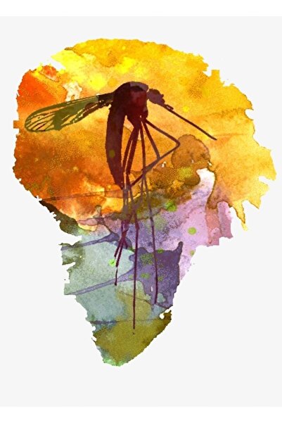 Universal Poster decorativ din lemn Isla Nublar