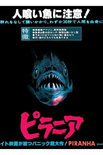 Universal Tablou Pirana Poster din lemn decorativ