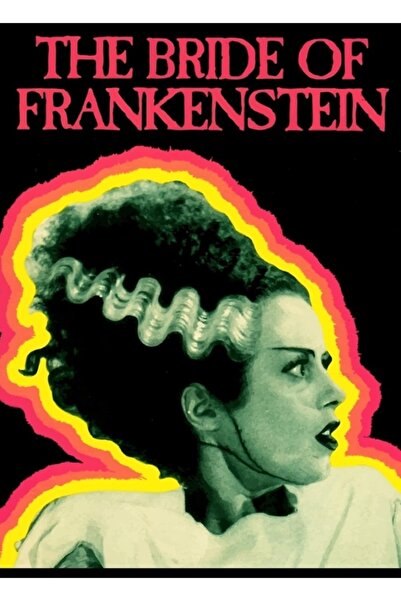 Universal Η νύφη του Φρανκενστάιν Ξύλινη διακοσμητική αφίσα ζωγραφικής