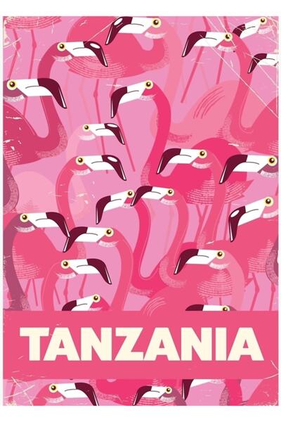Universal Poster de călătorie retro cu flamingo din Tanzania, tablou decorati...