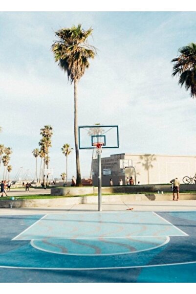 Universal Διακοσμητική ξύλινη αφίσα με φοίνικες και ένα μπλε γήπεδο μπάσκετ