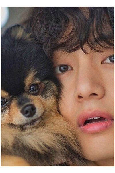 Universal Tablou decorativ din lemn Taehyung, Poster, Cod5199