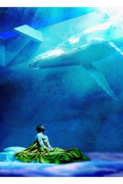 Universal Serendipity Whalien Se întâlnește cu 52 de tablouri Poster decorati...