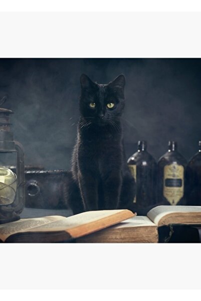 Universal Poster decorativ din lemn cu tematică de miercuri