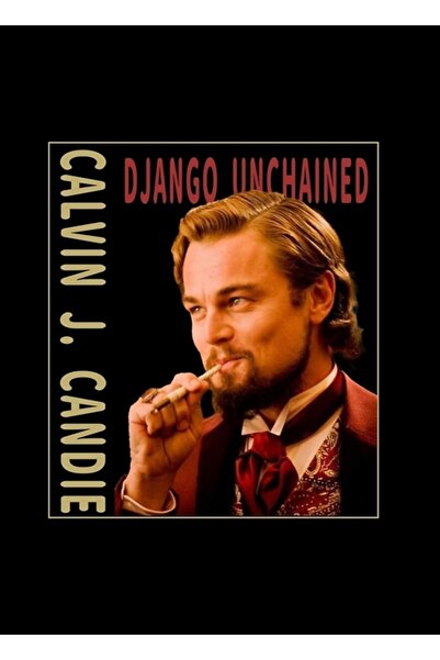 Universal Lionardo De Caprio, Poster decorativ din lemn cu pictură de film Dj...