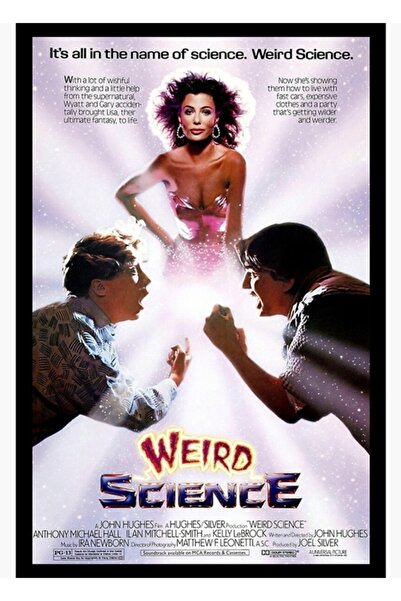 Universal Poster decorativ din lemn cu tematică științifică nebunească