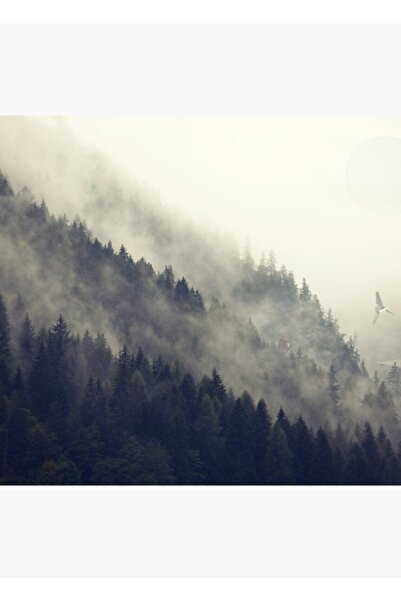 Universal Διακοσμητική ξύλινη αφίσα ζωγραφικής με αρκούδα του δάσους