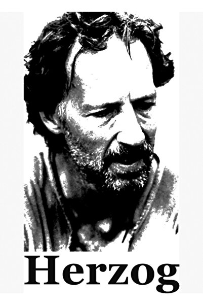 Universal Χέρτζογκ: Μια Σιλουέτα Ενός Ιδιοφυΐας, Ξύλινη Διακοσμητική Αφίσα Ζω...