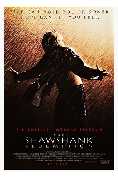 Universal Η Αναστολή της Ποινικής Κυρτείας (1994) Διακοσμητική Ξύλινη Αφίσα Τ...