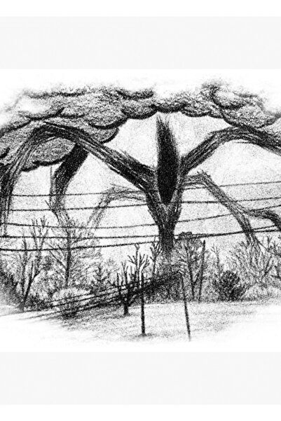 Universal Will Drawing (stranger Things) Tablo Ahşap Poster Dekoratif