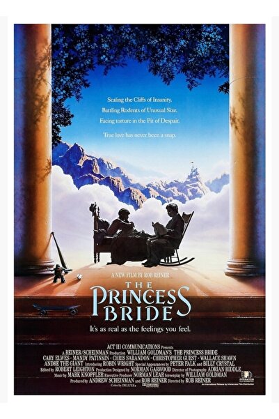 Universal Принцесата (1987) Дървен декоративен плакат