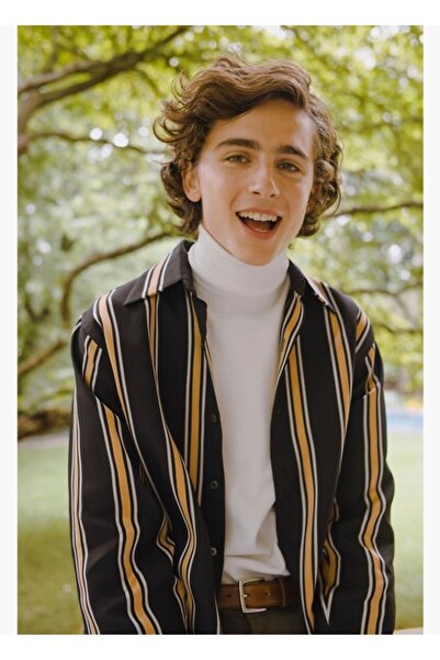 Universal Τιμοτέ Σαλαμέ Ξύλινη Διακοσμητική Αφίσα Ζωγραφικής