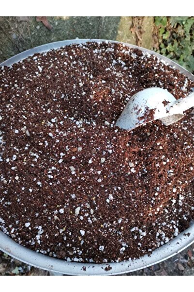 toprak 4 Litre Özel Sukulent Succulent Karışımı Elde Yapım Echeveria Süper Kaliteli Zengin