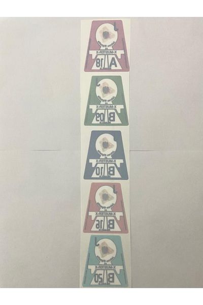 Universal 5-Piece Internal Bonding Customs Scale (SIZE 35X8)