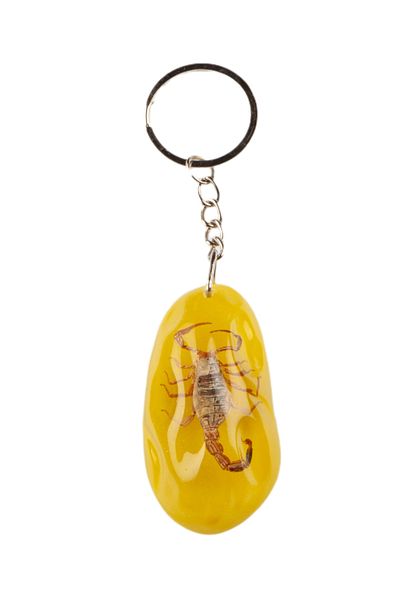 Dünyadan Hediyeler Yellow Transparent Resin Keychain Natural Scorpion