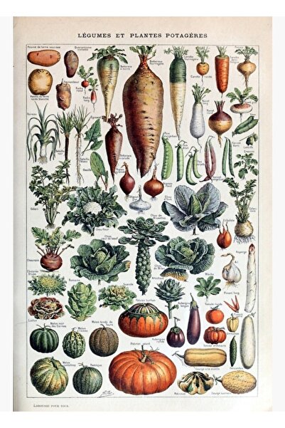 Universal Vintage Fransız Sebzeleri Ve Sebze Bitkileri Tablo Ahşap Poster Dek...