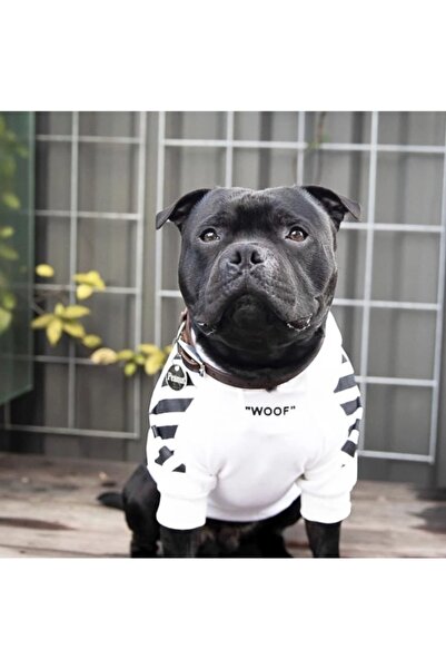 MarkaModa Köpek Kedi Kıyafetleri Kapşonlu Sweet Pug French Bulldog